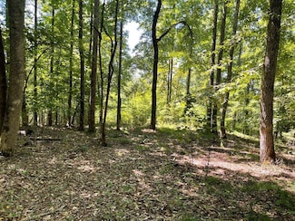 Lot 11B Grandview Dr, Hayesville, NC 28904