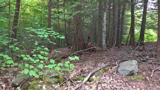 19 Hobart Hill Rd, Hebron, NH 03241