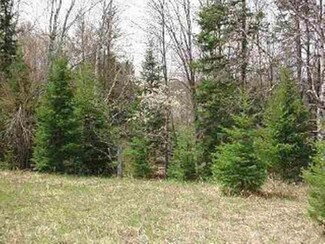 Lot 8 Allyn Rd, Mercer, WI 54547