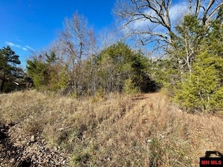 002-04622-000 Cr 307, Mountain Home, AR 72653