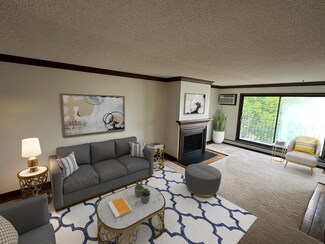 215 Barry Ave S Unit 317, Wayzata, MN 55391