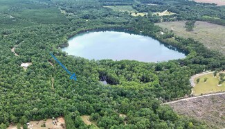 4.5 acres Blue Pond Ln, Ponce de Leon, FL 32455