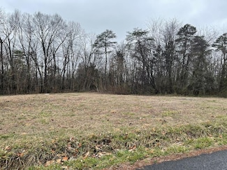 Lot 14 Burnett Dr, Kodak, TN 37764