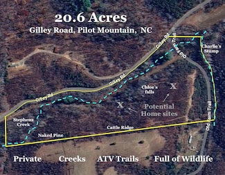 446 Gilley Rd, Pilot Mountain, NC 27041