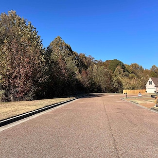 0 Red Vintage Cove, Unincorporated, TN 38016