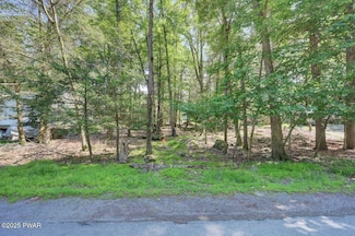 54 Wallenpaupack Dr, Wallenpaupack Lake Estates, PA 18436