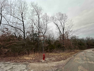 TBD Wacasassa Dr, Cherokee Village, AR 72529