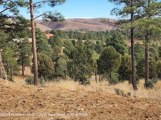 143 Charles McClellan Dr, Ruidoso, NM 88345