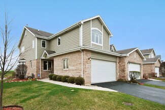19343 Lisadell Dr Unit 971, Tinley Park, IL 60487