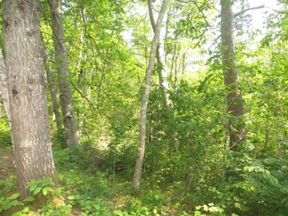 Lot 28 Big Thunder Ln, Lac Du Flambeau, WI 54538