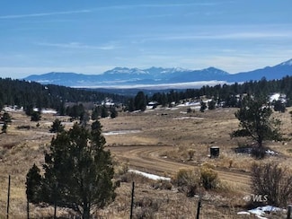 291 Junkins Loop, Westcliffe, CO 81252