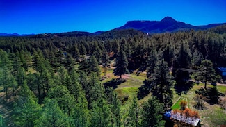 167 Ute Ln, Pagosa Springs, CO 81147