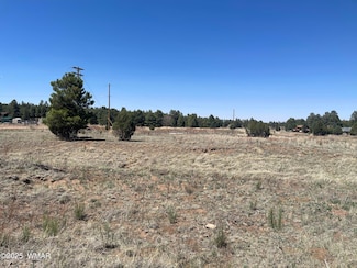 2278 Meadow Ln, Heber-Overgaard, AZ 85933