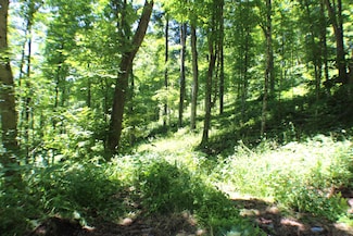 0 John Wymer Rd, Hillsboro, WV 24946