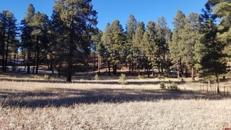 TBD County Road 501, Vallecito Lake/Bayfield, CO 81122