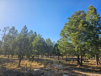 1608 Woodside Place, Blue Ridge, AZ 86024