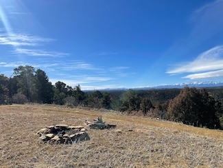 0 County Rd Unit 25-499, Trinidad, CO 81082