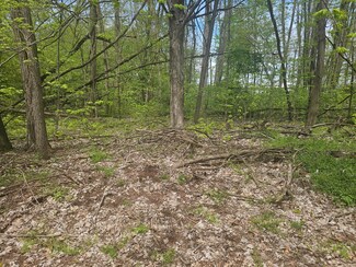 0 Parkway Ave, Park Township, MI 49093