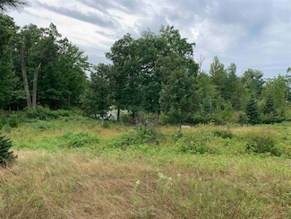 Lot 14 Wood Duck Trail, Saratoga, WI 54494