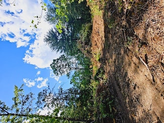 Lot 4 Megan Trace Ln, Turtletown, TN 37391