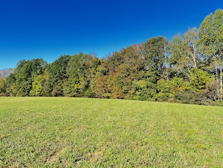 0 Goff Ridge Rd Unit RTC2755709, Baxter, TN 38544
