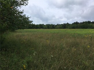 0 Tom Campbell Rd Unit R1141148, Jerusalem, NY 14418