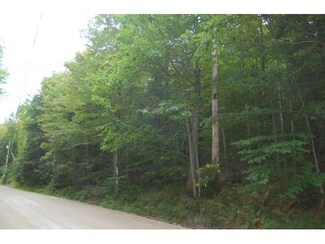 - Miller Pond Rd, Grantham, NH 03753