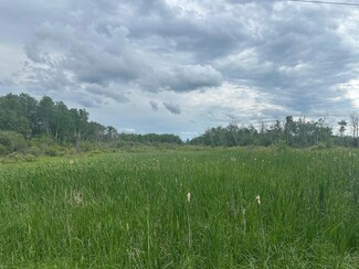 TBD County Line Rd, Aldrich, MN 56434