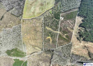 0 Cash Swamp Rd, Cheraw, SC 29520
