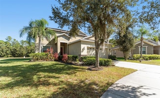 20443 Autumn Fern Ave, Tampa, FL 33647