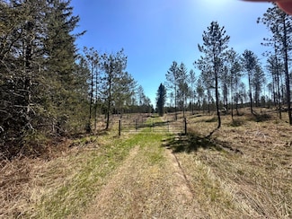 78.5 AC Monheim Rd, Conover, WI 54519