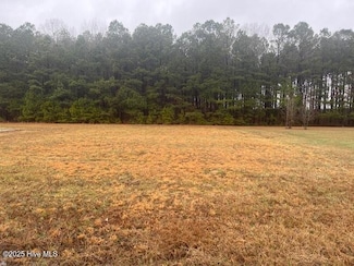 0000 Hillside Dr, Rich Square, NC 27869