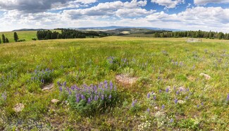 TBD National Forest Development Road 581, Checkerboard, MT 59053