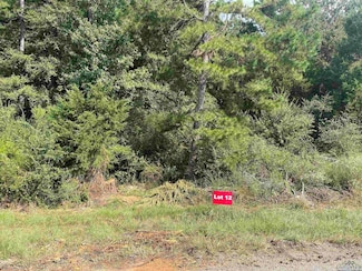 TBD Lot 12 Cr 2204 D & Fm 1797, Tatum, TX 75691