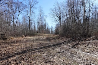 TBD King Summit Rd, Coalton, WV 26257