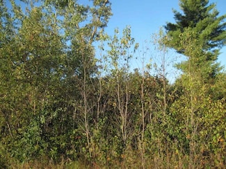 L1 6th Ave, Grand Marsh, WI 53936