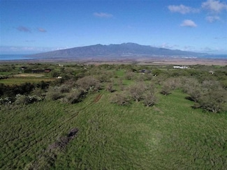0 Ikena Kai Place Unit Lot F 390392, Kula, HI 96790