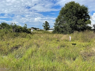 3904 11th St SW, Lehigh Acres, FL 33971