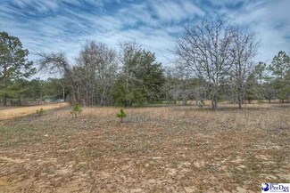 TBD Ozelma Dr, Dillon, SC 29536