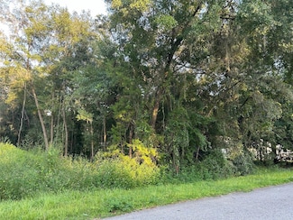 0 SE 101st Terrace, Belleview, FL 34420