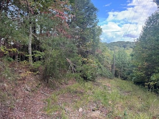 13.57 Ac Burnt Mountain Cove Rd, Big Canoe, GA 30143