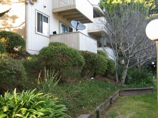 407 Piccadilly Place Unit 3, San Bruno, CA 94066