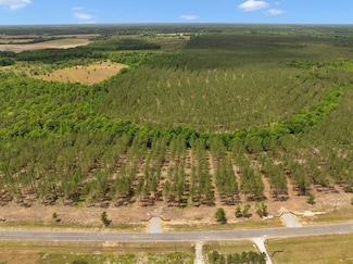 0 Dewey Thomas Rd Unit 20382536, Dexter, GA 31019