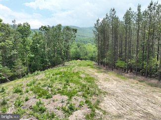 22.29 AC N Texas Rd, Delray, WV 26714