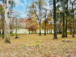 0 Lakeshore St Unit 4132626, Itta Bena, MS 38941