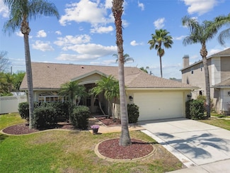 11309 Clayridge Dr, Tampa, FL 33635