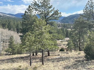 598 Skyline Dr, South Fork, CO 81154