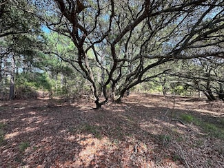 2303 False Cape Rd Unit Lot 14, Corolla, NC 27927