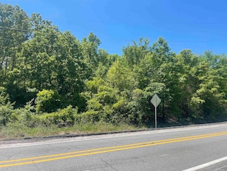 00 Highway 287, Holland, AR 72173