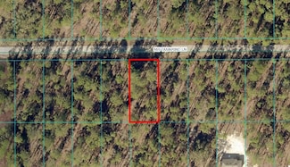 TBD LOT 6 SW Tamarind Ln, Dunnellon, FL 34431